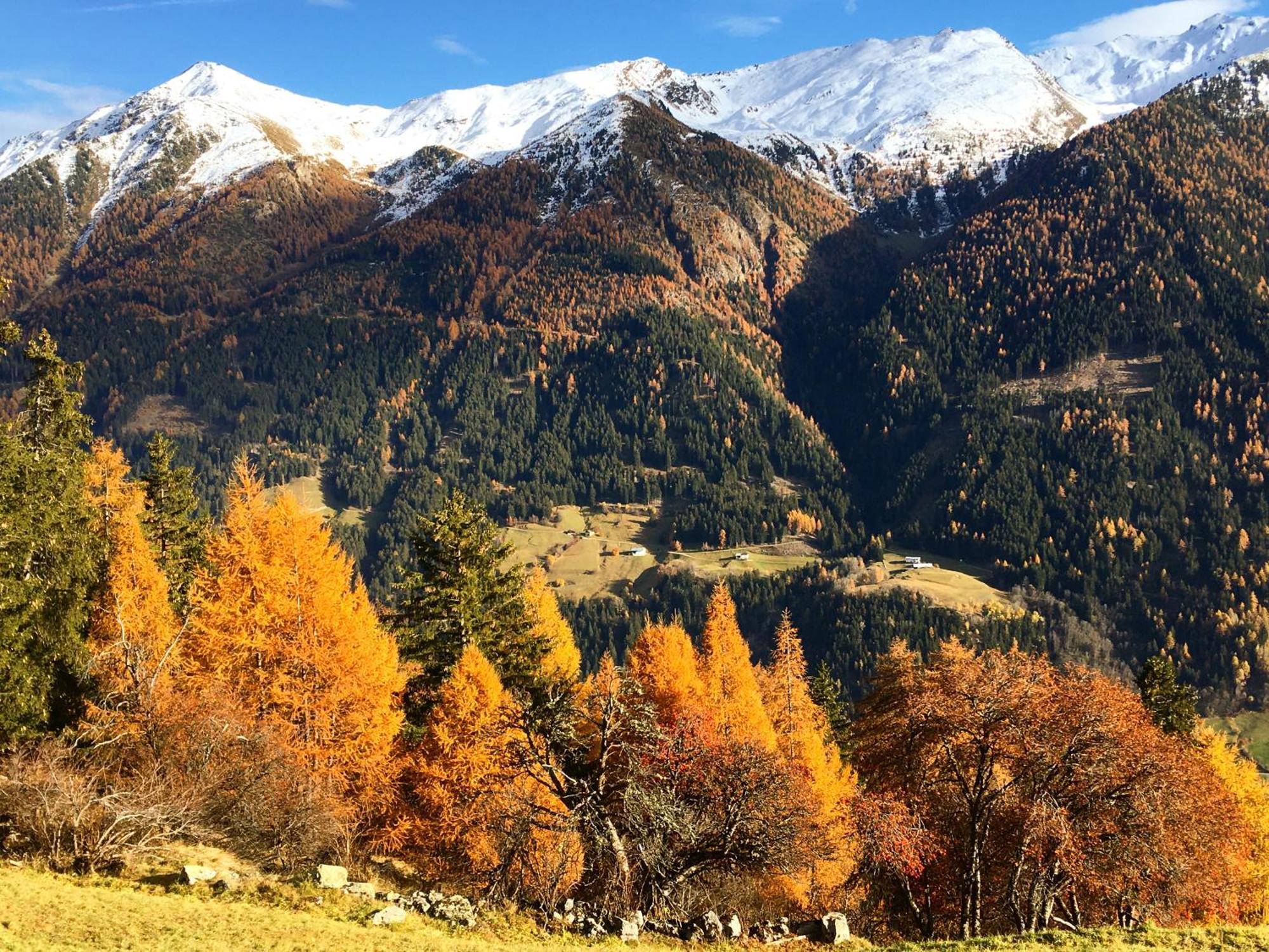 Chasa Jaro Bed and Breakfast Santa Maria Val Müstair Exteriör bild